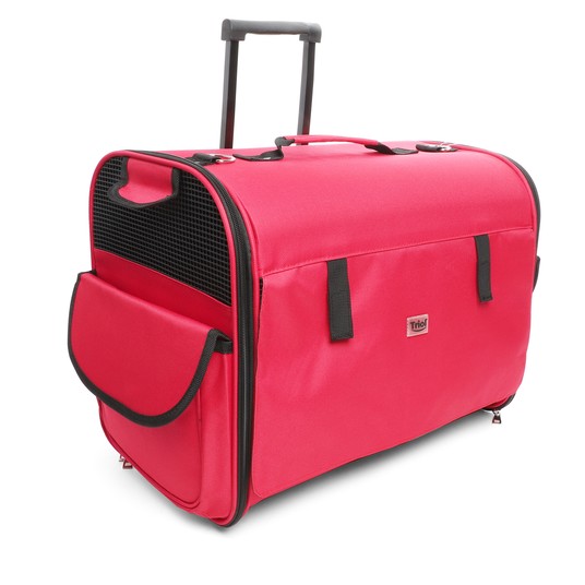 Изображение на странице