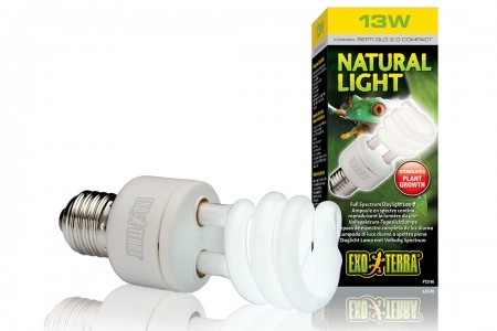 Изображение на странице