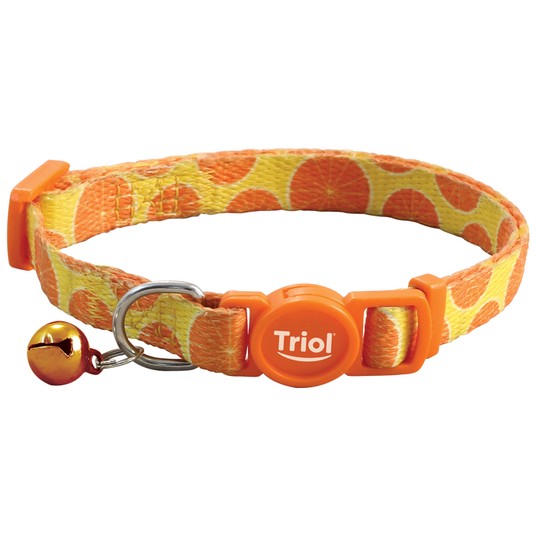 Изображение на странице