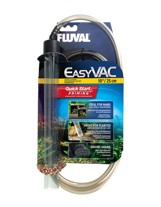 Изображение на странице