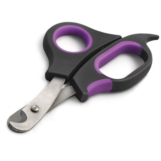 Изображение на странице