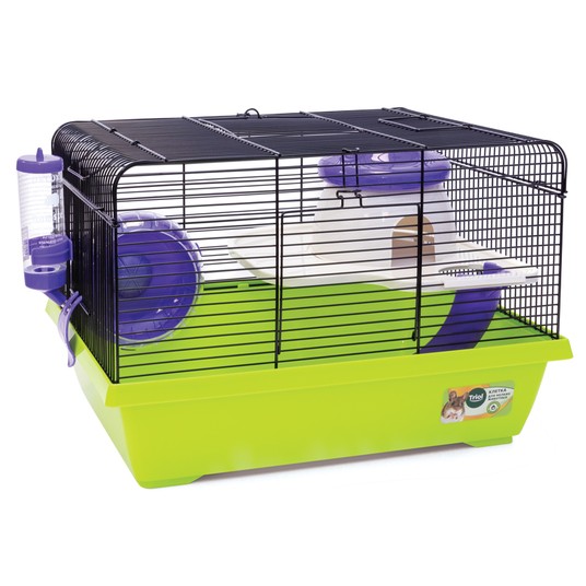 Изображение на странице