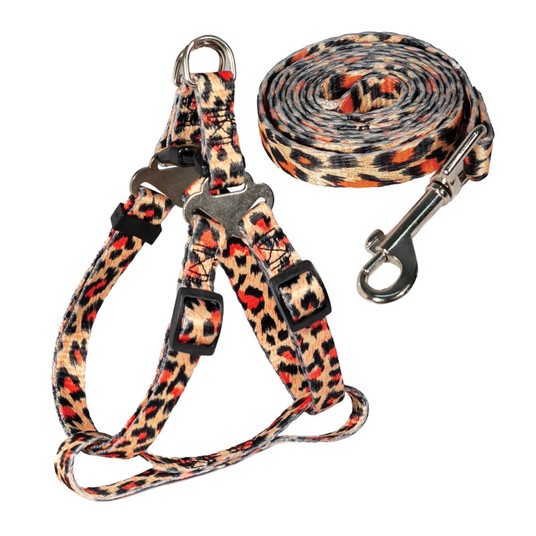 Изображение на странице