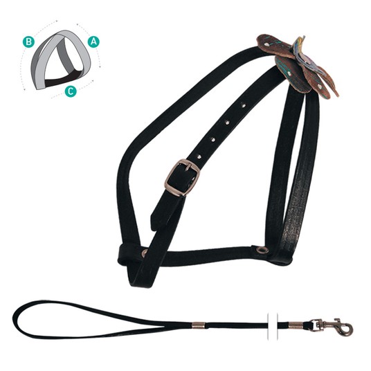 Изображение на странице