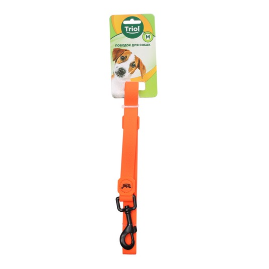 Изображение на странице