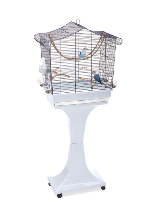 Изображение на странице