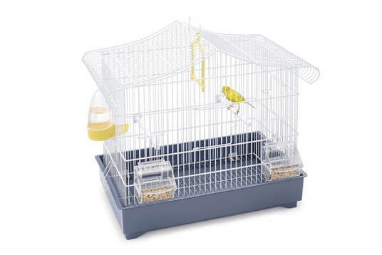 Изображение на странице