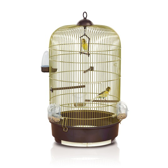 Изображение на странице