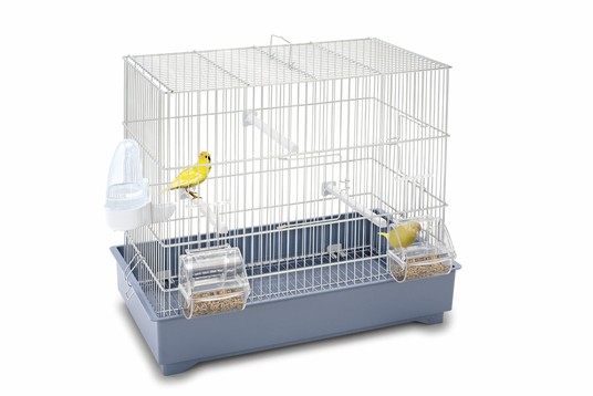 Изображение на странице