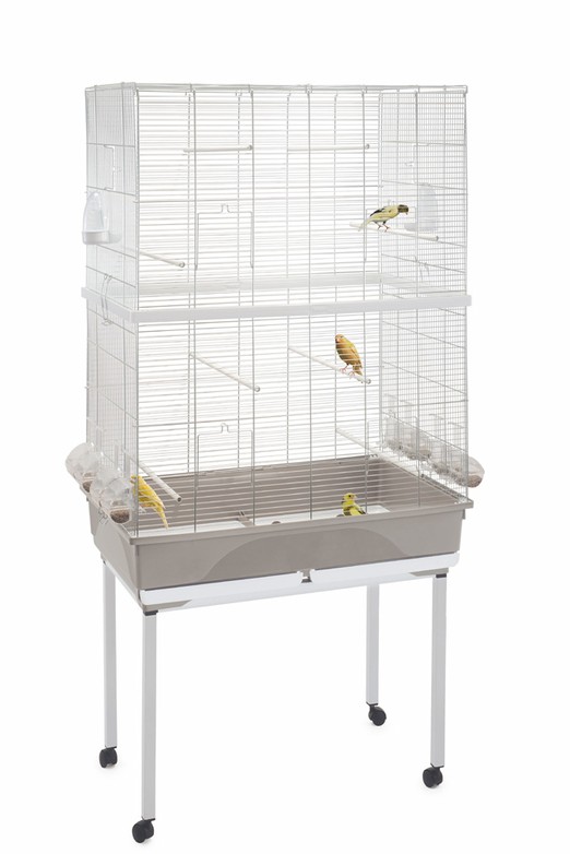 Изображение на странице