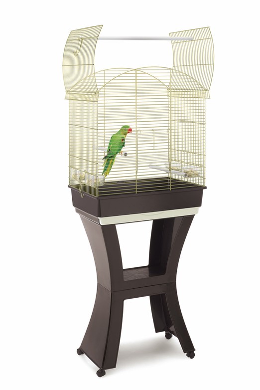 Изображение на странице