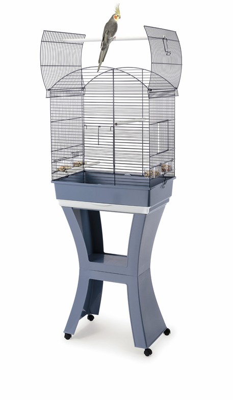 Изображение на странице