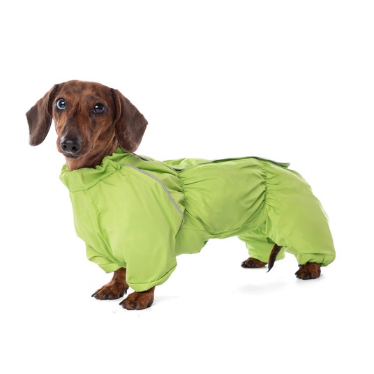 Изображение на странице