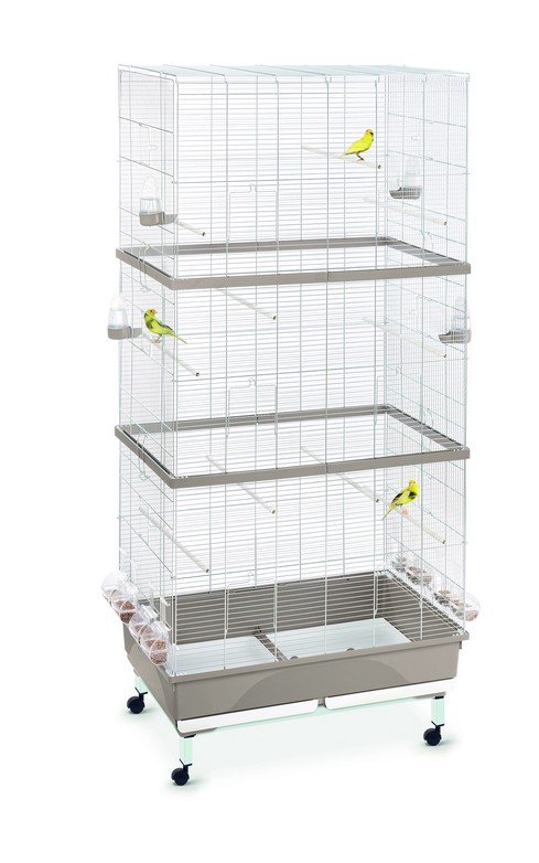 Изображение на странице