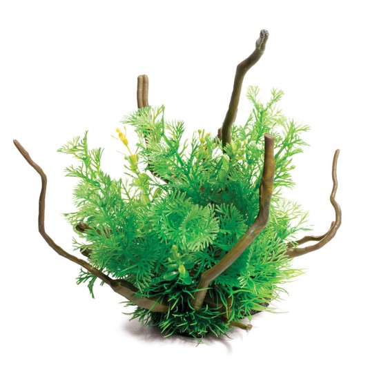 Изображение на странице