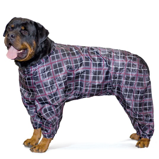 Изображение на странице