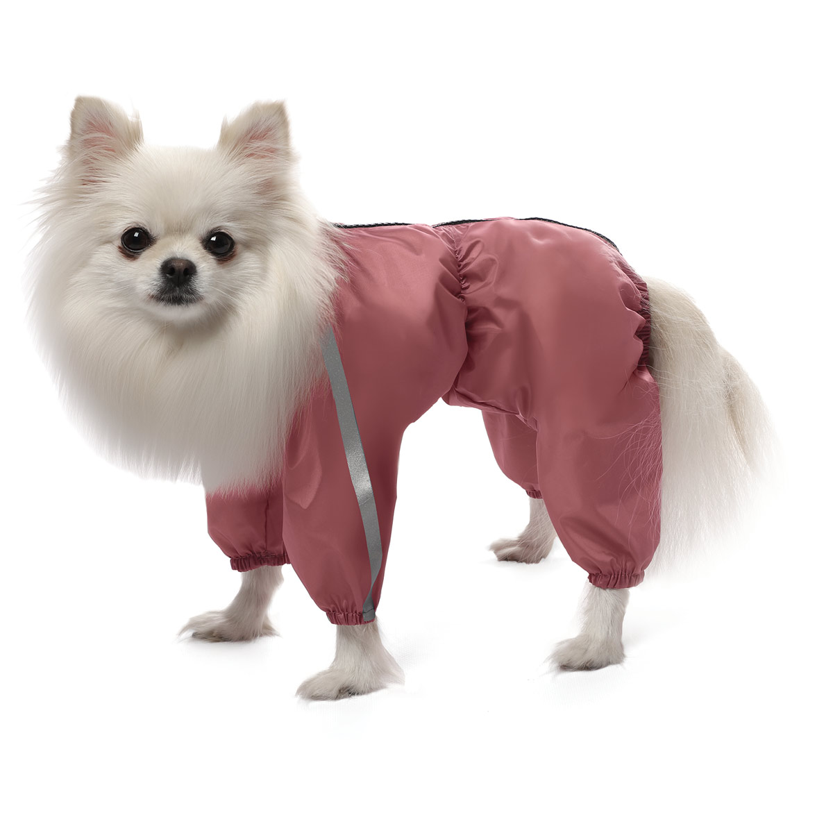 Изображение на странице