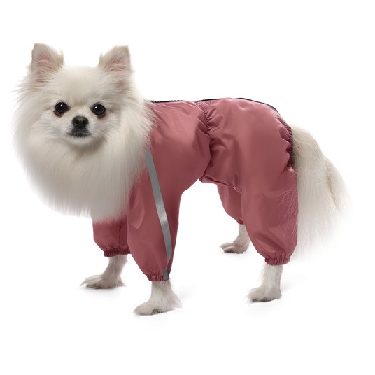 Изображение на странице