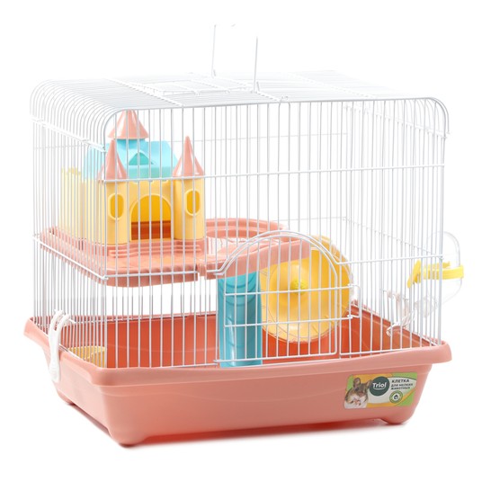 Изображение на странице