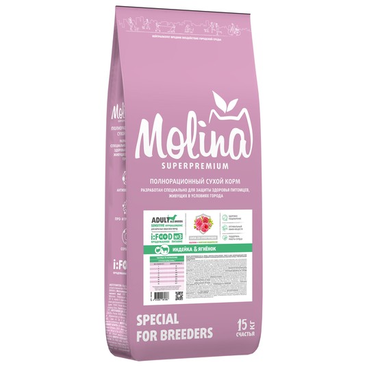 Изображение на странице