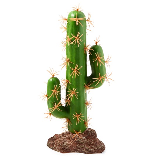 Изображение на странице