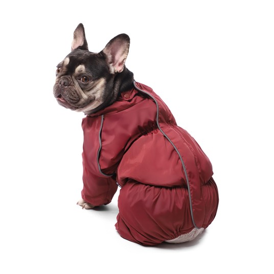 Изображение на странице