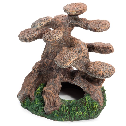 Изображение на странице