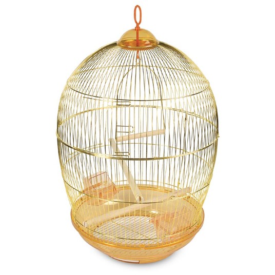 Изображение на странице