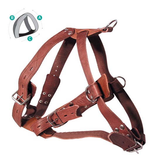 Изображение на странице