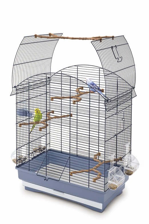 Изображение на странице