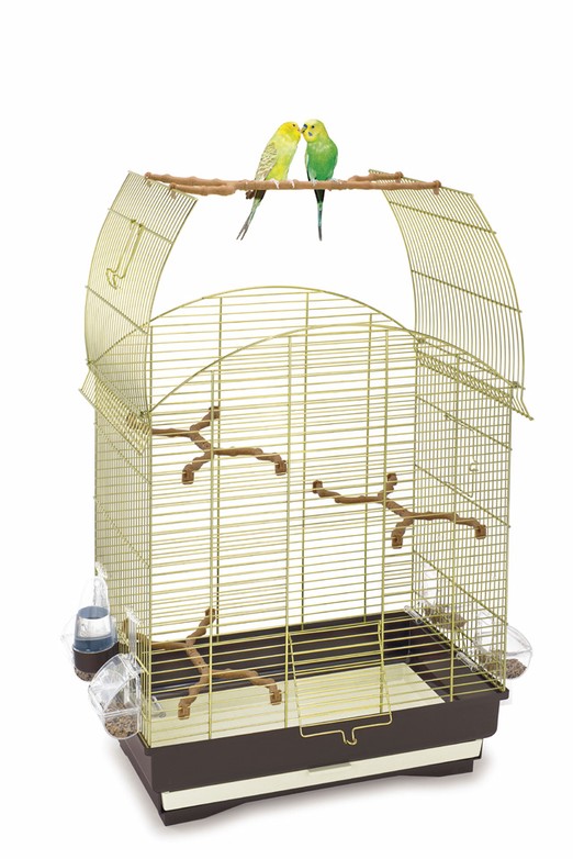 Изображение на странице