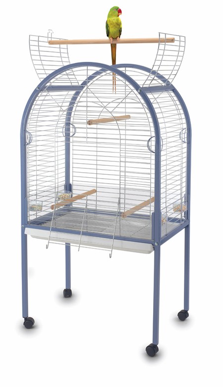 Изображение на странице