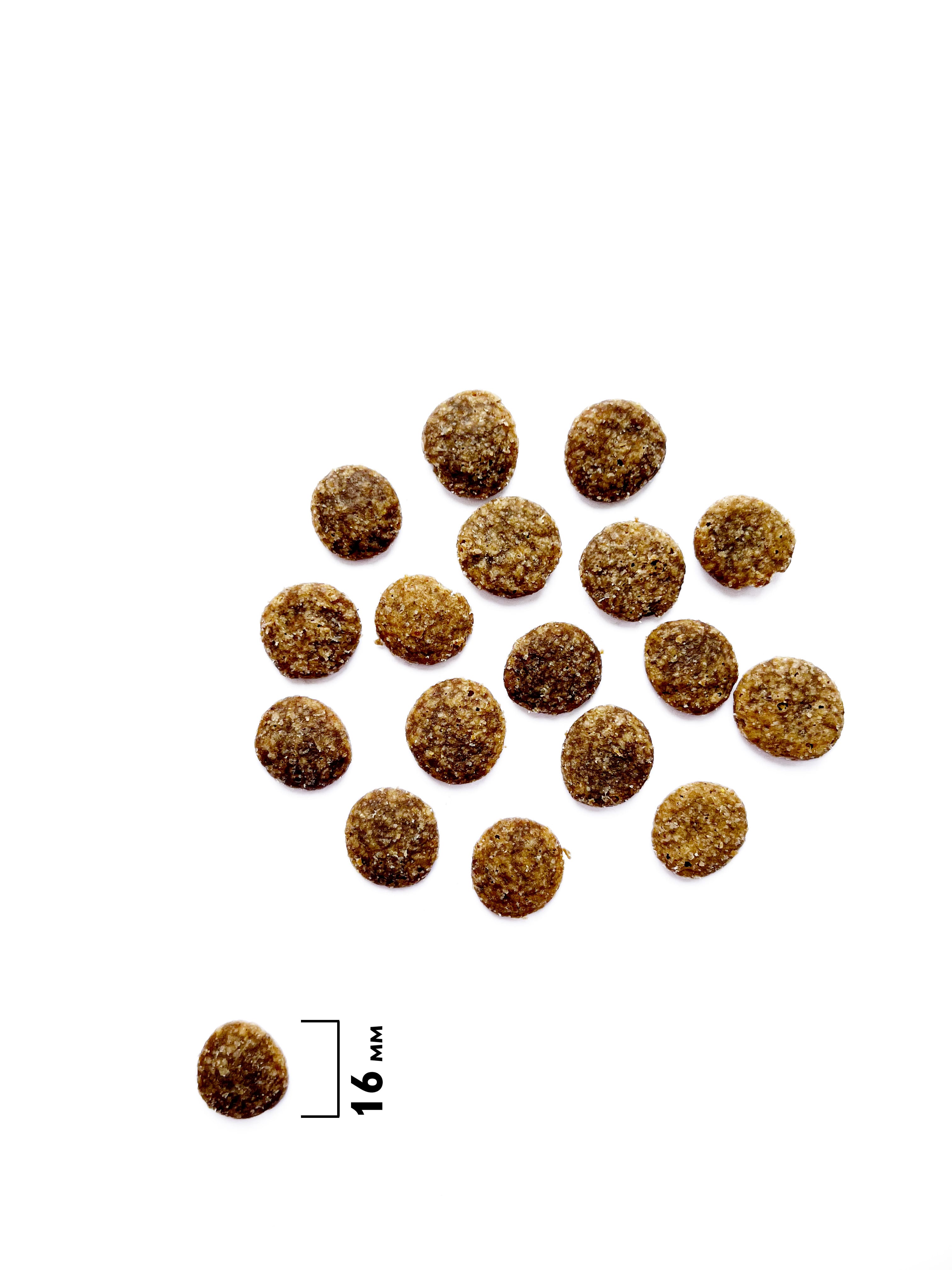 Сухой корм DOG PUPPY & JUNIOR LARGE HEALTHY GROWTH с индейкой и ягн. д/щен., 12 кг 9
