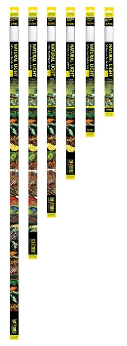 Изображение на странице