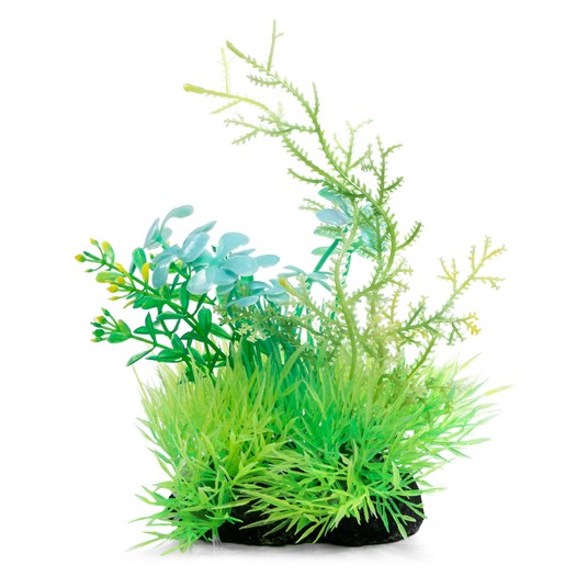 Изображение на странице