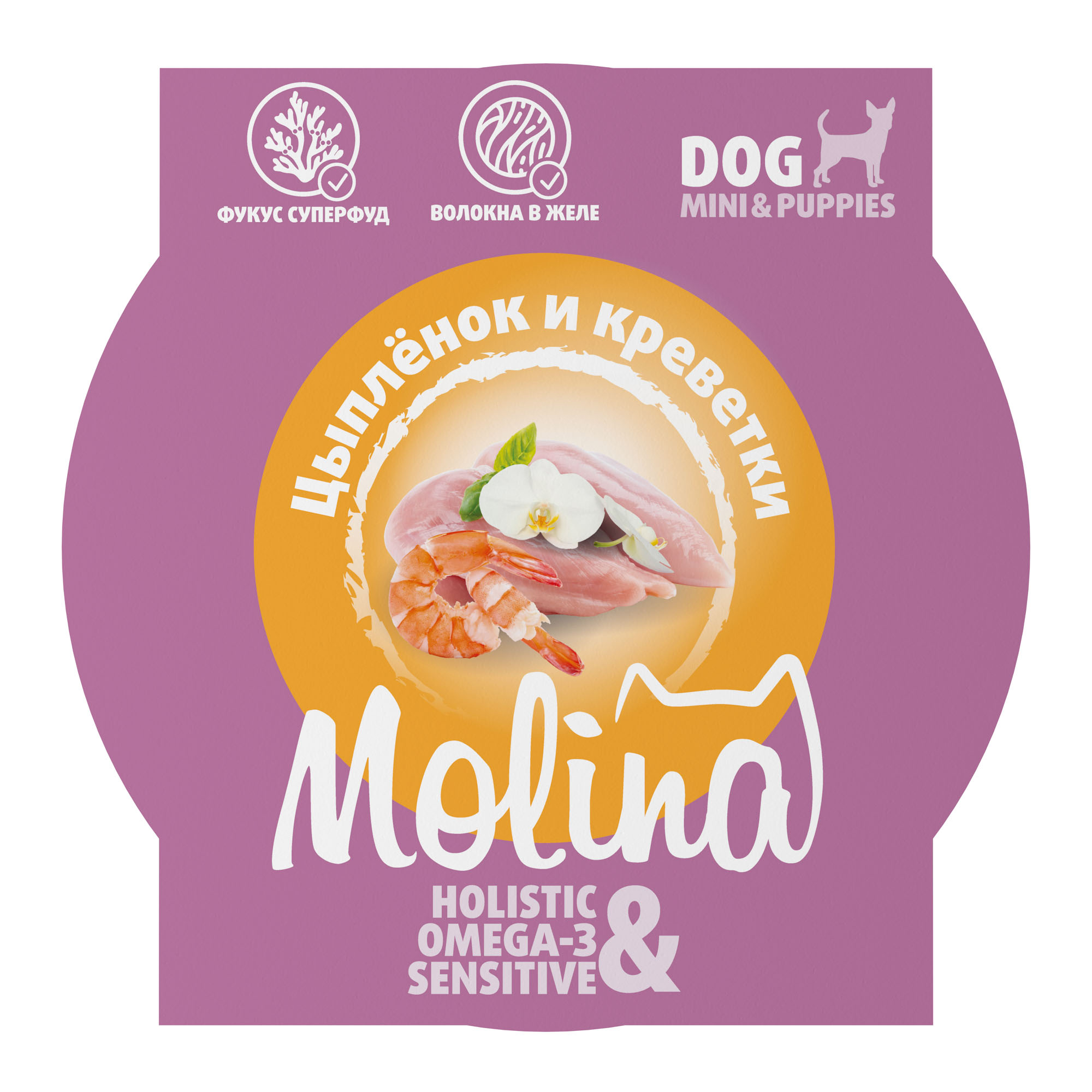 Изображение на странице