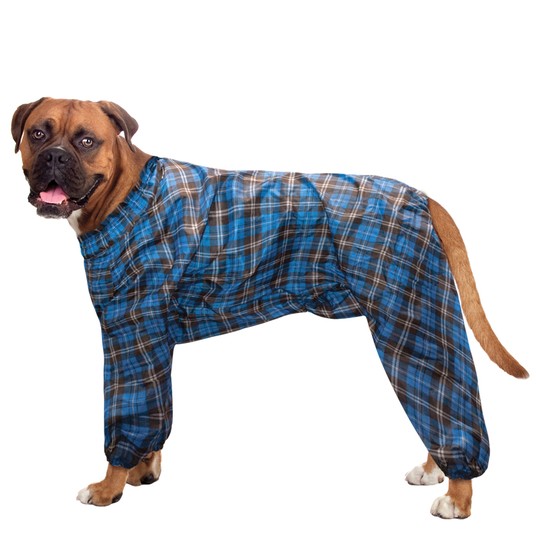 Изображение на странице