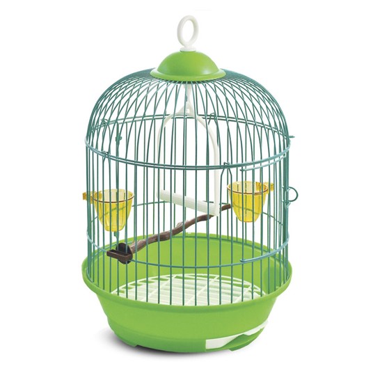 Изображение на странице