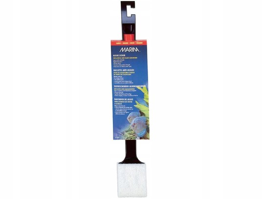 Изображение на странице