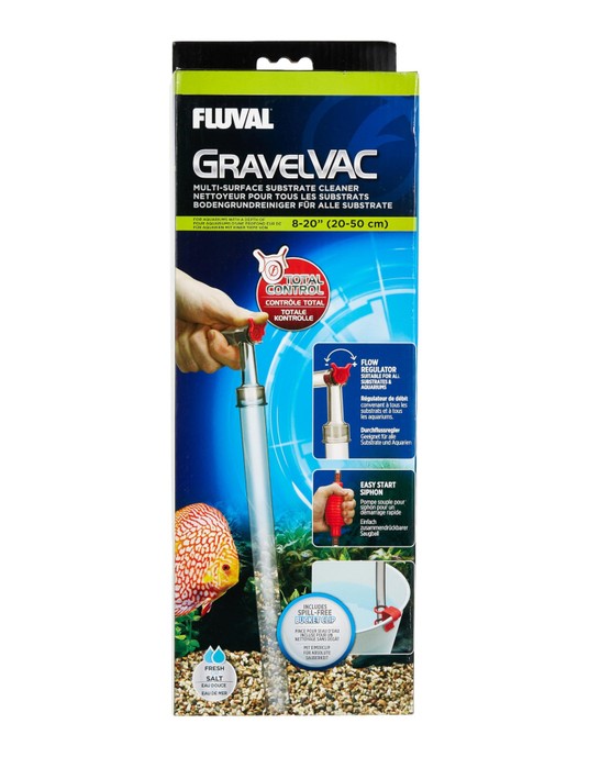 Изображение на странице