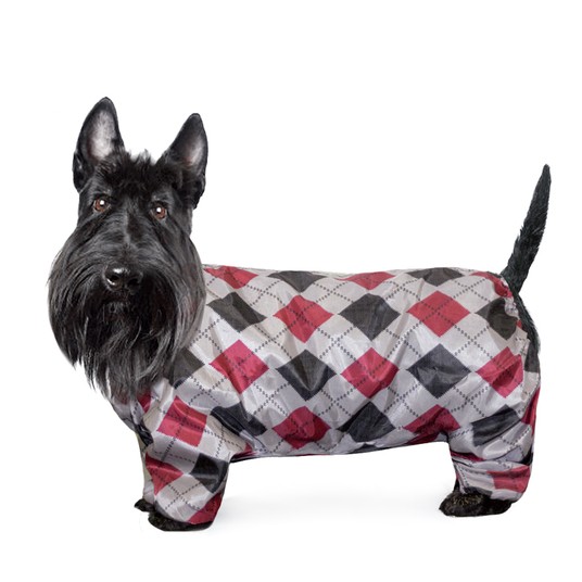 Изображение на странице