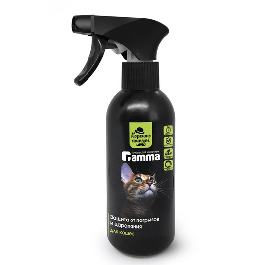 Изображение на странице