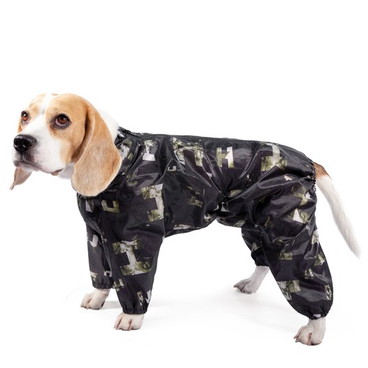 Изображение на странице