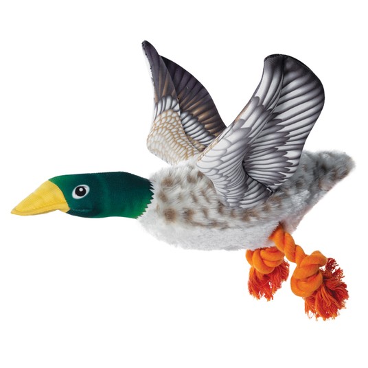 Изображение на странице