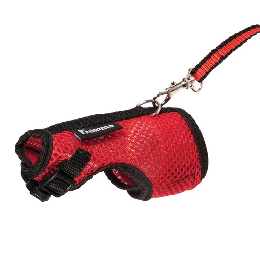 Изображение на странице