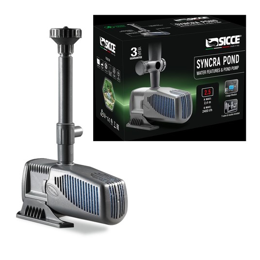 Изображение на странице