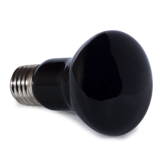 Изображение на странице