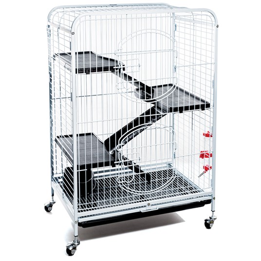 Изображение на странице