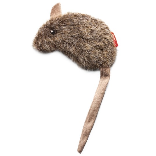 Изображение на странице