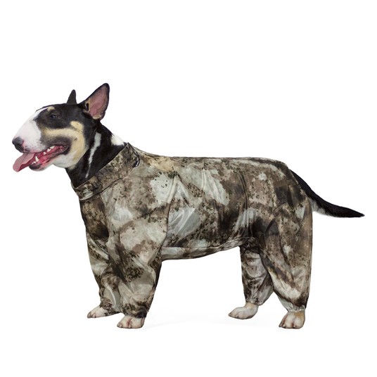 Изображение на странице